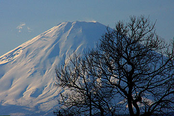 fujisan