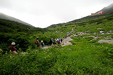 senjyojiki