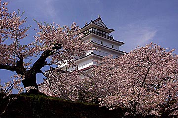 Tsurugajyo