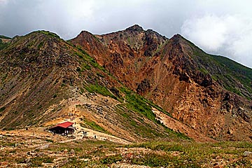 nasu