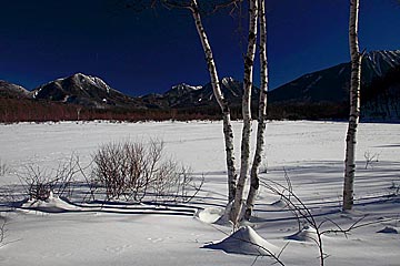 okunikko