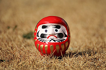 daruma