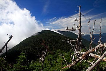 omanako