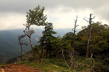 Kohshinzan