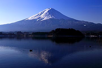 fuji