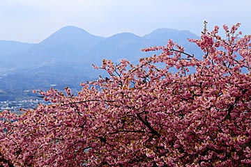 Matsudayama