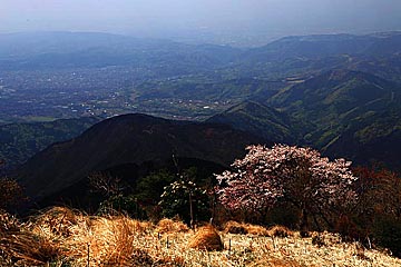 tonotake