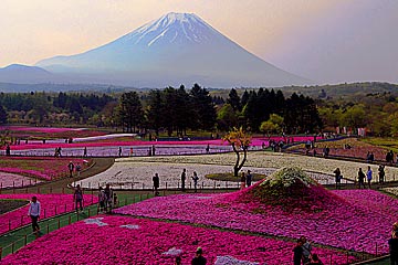 fuji