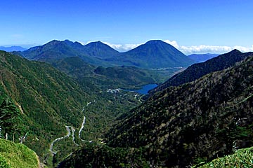 nenagusa