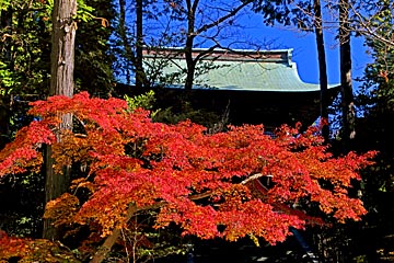 kamakura