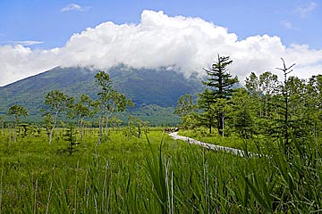 Okunikko