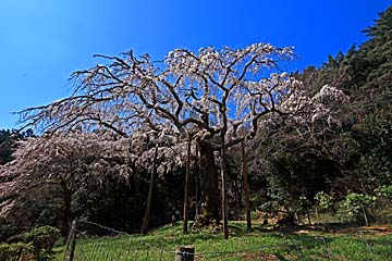 Chokozan