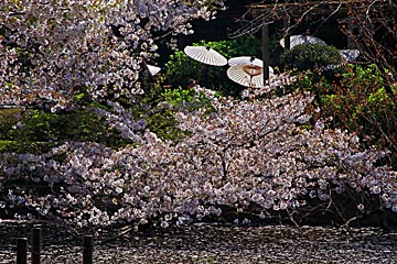 Kamakura