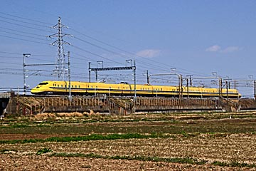 Dr Yellow